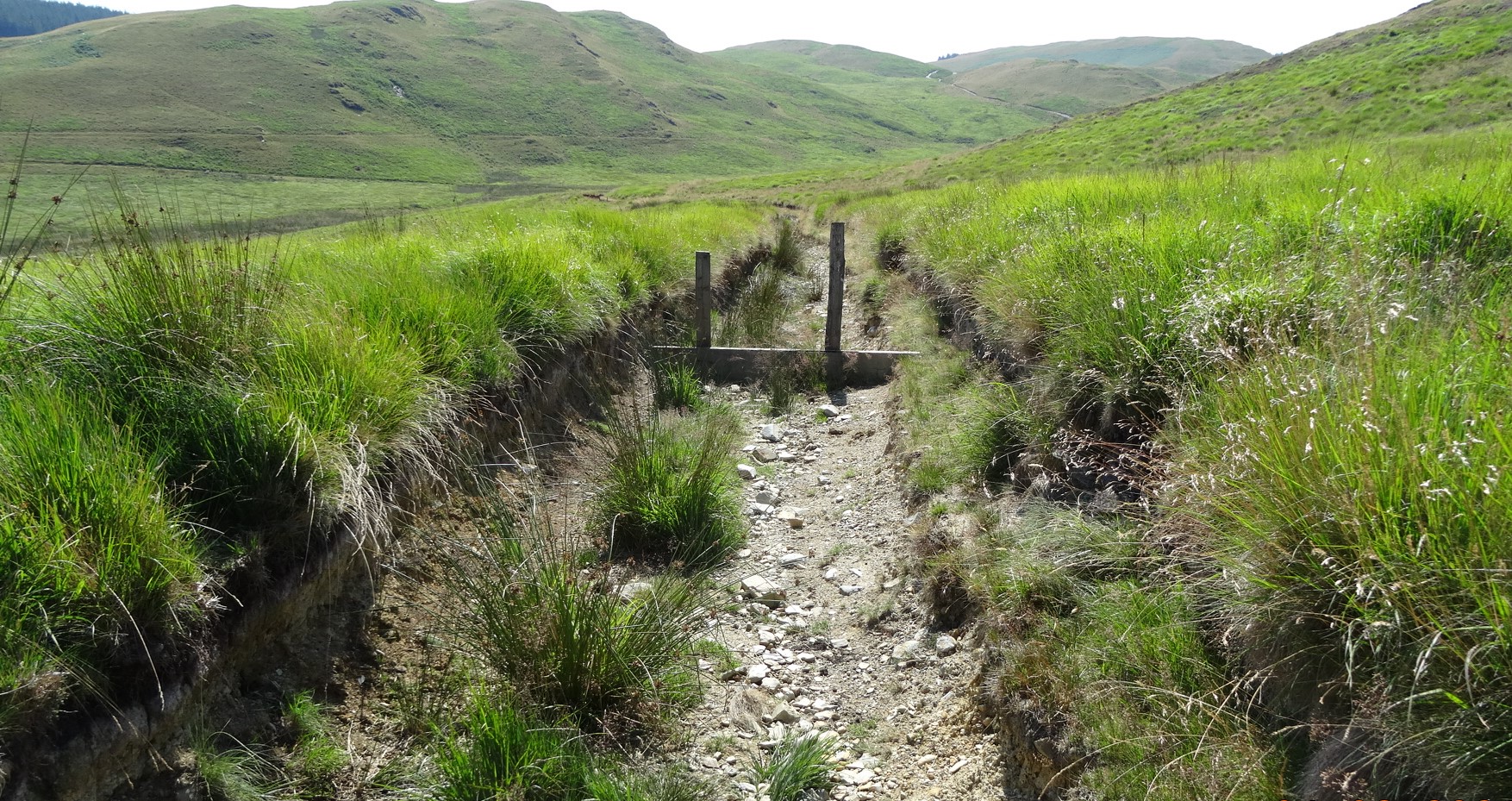 RachelSeabrook.net | Wild Walking | Disgwylfa-Fawr | pic16